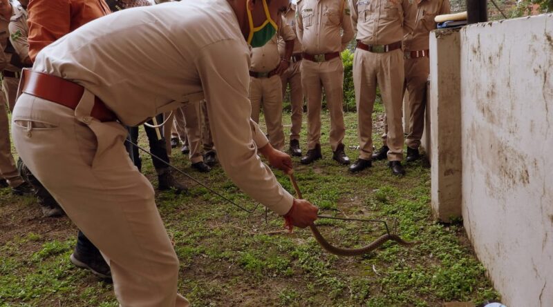 भारतीय सांपों पर वनवृत्त कार्यालय में सेमिनार व कार्यशाला का आयोजन