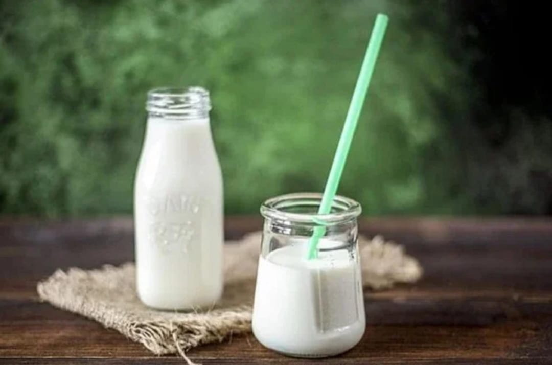 अध्ययन में खुलासा: पशुओं के दूध में एंटीबायोटिक दवाओं के अवशेष बढ़े, इंसानों के लिए खतरा बन सकती हैं