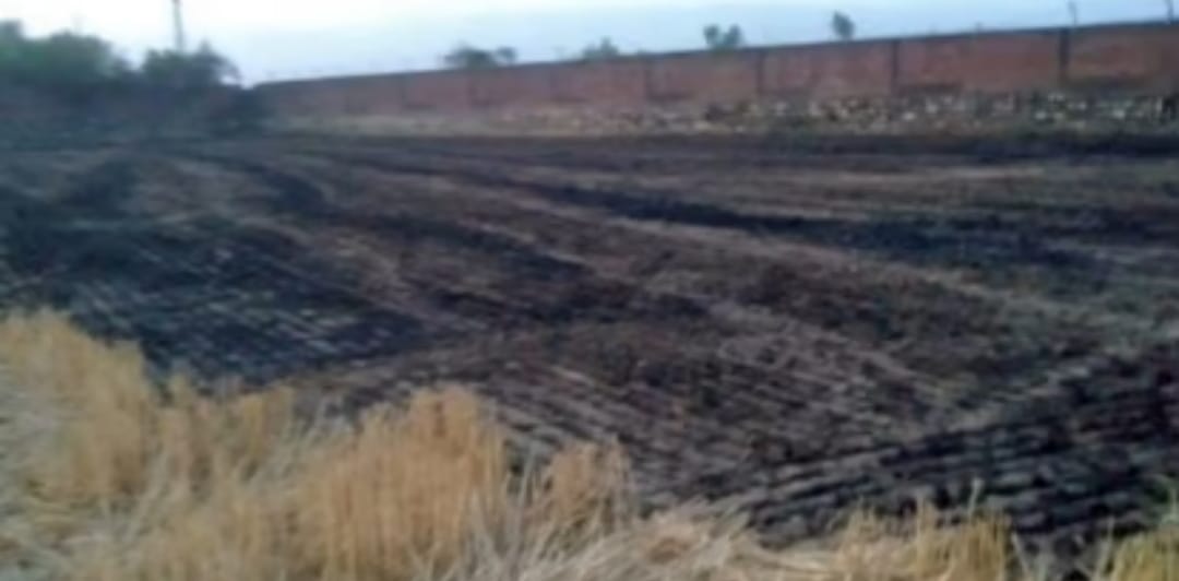 भारी नुक्सान: पातलियों में आग से 30 बीघा भूमि पर खड़ी गेहूं की फसल राख