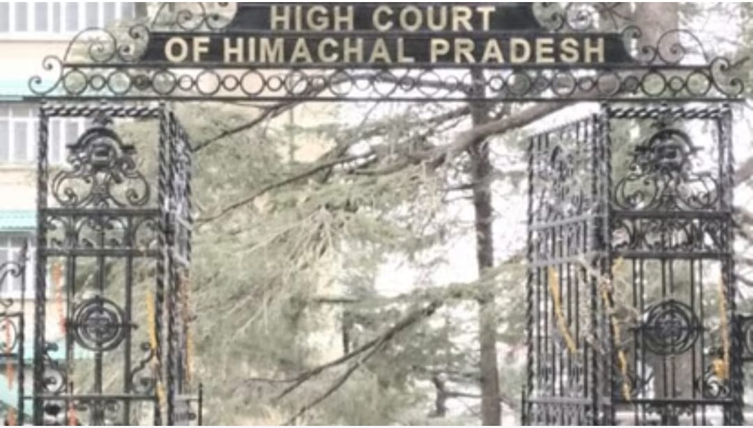 Himachal High Court: निजी संस्थानों में नर्सरी टीचर ट्रेनिंग मामले पर सुनवाई पूरी, आज आएगा फैसला