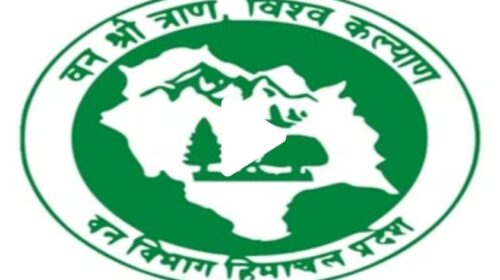 तबादले: कुनाल अंगरिश को उप वन्य अरण्यपाल सोलन,