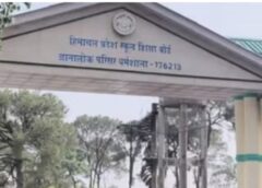 HPBOSE: 10 जून को डीएलएड की प्रवेश परीक्षा, 18 से टेट लेगा बोर्ड