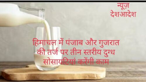खास खबर: हिमाचल में पंजाब और गुजरात की तर्ज पर तीन स्तरीय दुग्ध सोसायटियां करेंगी काम