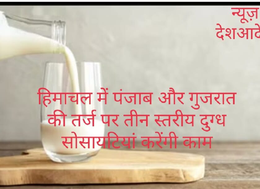 खास खबर: हिमाचल में पंजाब और गुजरात की तर्ज पर तीन स्तरीय दुग्ध सोसायटियां करेंगी काम