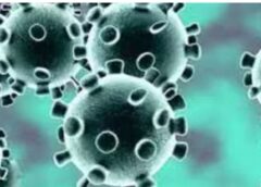 Coronavirus: शिमला में कोरोना पॉजिटिव मरीज की मौत, प्रदेश में सक्रिय मामले 60 पहुंचे
