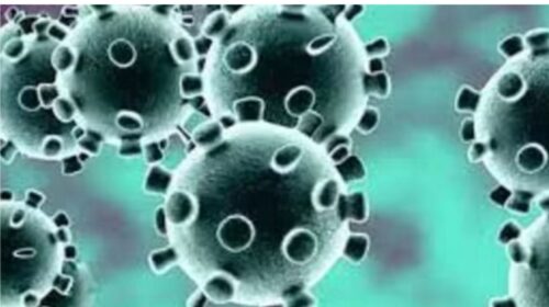 Coronavirus: शिमला में कोरोना पॉजिटिव मरीज की मौत, प्रदेश में सक्रिय मामले 60 पहुंचे