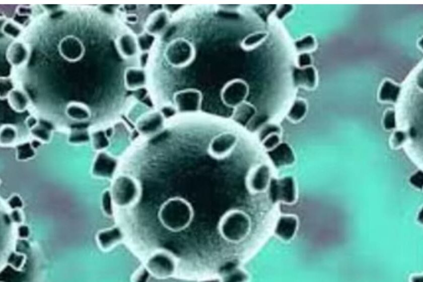 Coronavirus: शिमला में कोरोना पॉजिटिव मरीज की मौत, प्रदेश में सक्रिय मामले 60 पहुंचे
