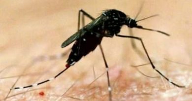 डेंगू से आंजभोज क्षेत्र के युवक (26) की मौत