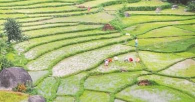 हिमाचल के 150 युवा किसान खेतीबाड़ी की आधुनिक तकनीक सीखने जाएंगे जापान