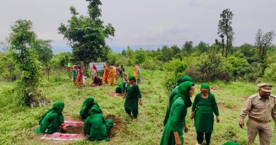 महिला वन एवं  पर्यावरण तथा जय मां अंबिके वन संरक्षण समिति ने किया वृक्षारोपण:DFO