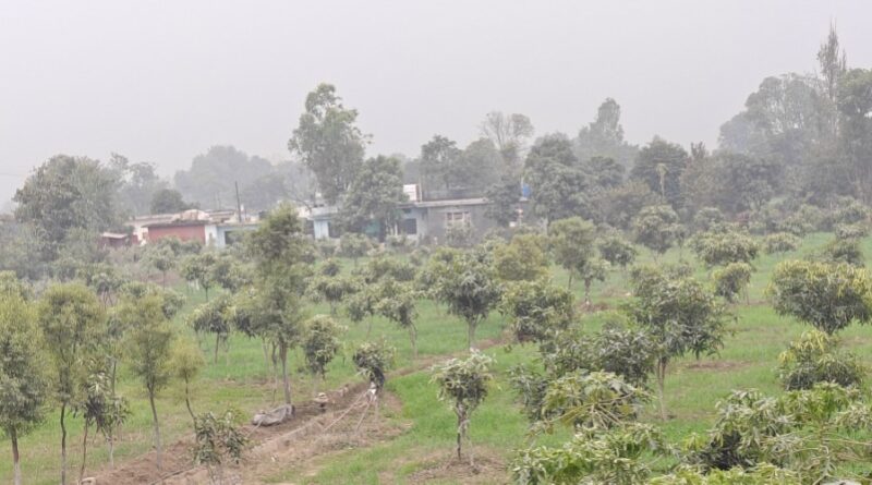 प्रदेश के सभी किसानों-बागवानों के लिए फार्मर आईडी बनाना हो गया अनिवार्य