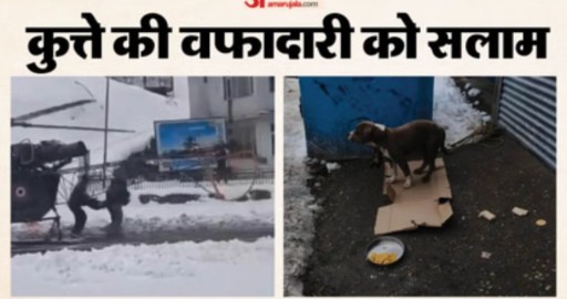 बर्फ के बीच चार दिन तक भूखा प्यासा रहने के बावजूद, मालिक के शव के पास डटा रहा।