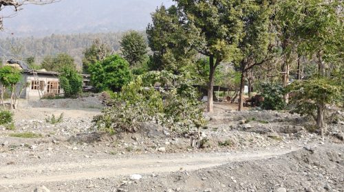 जर्जर हो चुका है सतौन पुल,  हादसों को दे रहा दावत