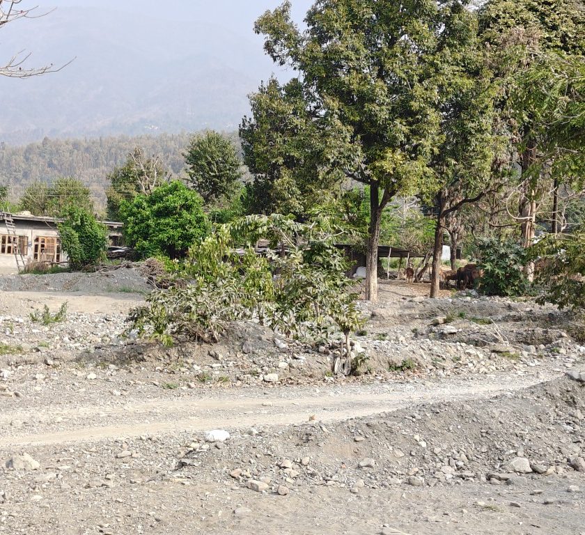 जर्जर हो चुका है सतौन पुल,  हादसों को दे रहा दावत