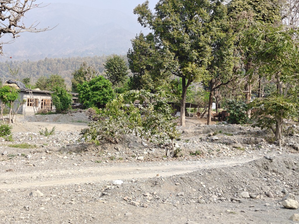 जर्जर हो चुका है सतौन पुल,  हादसों को दे रहा दावत