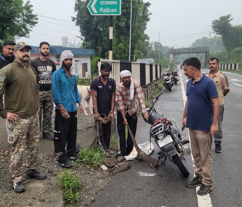 जंगल में गोह का शिकार करना पड़ा महंगा, तीन आरोपी गिरफ्तार
