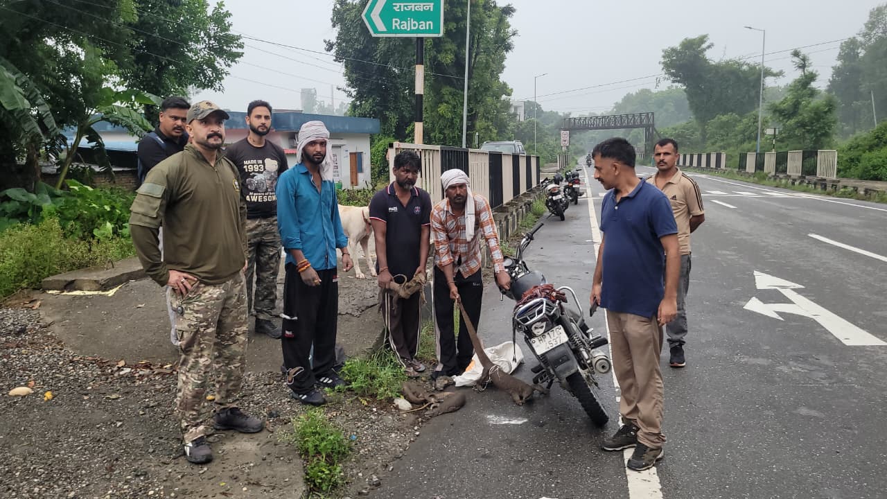 जंगल में गोह का शिकार करना पड़ा महंगा, तीन आरोपी गिरफ्तार